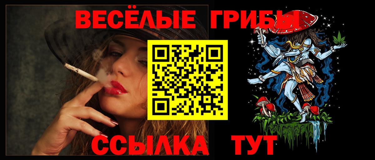 наркота  Псилоцибиновые грибы прущие грибы  Вход с VPN  Великий Новгород 